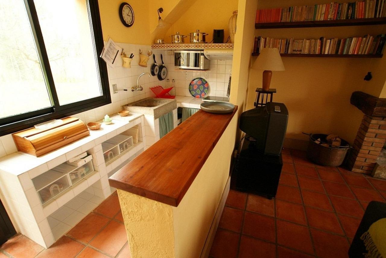 El Mas Prat Apartment La Vall de Bianya Ngoại thất bức ảnh
